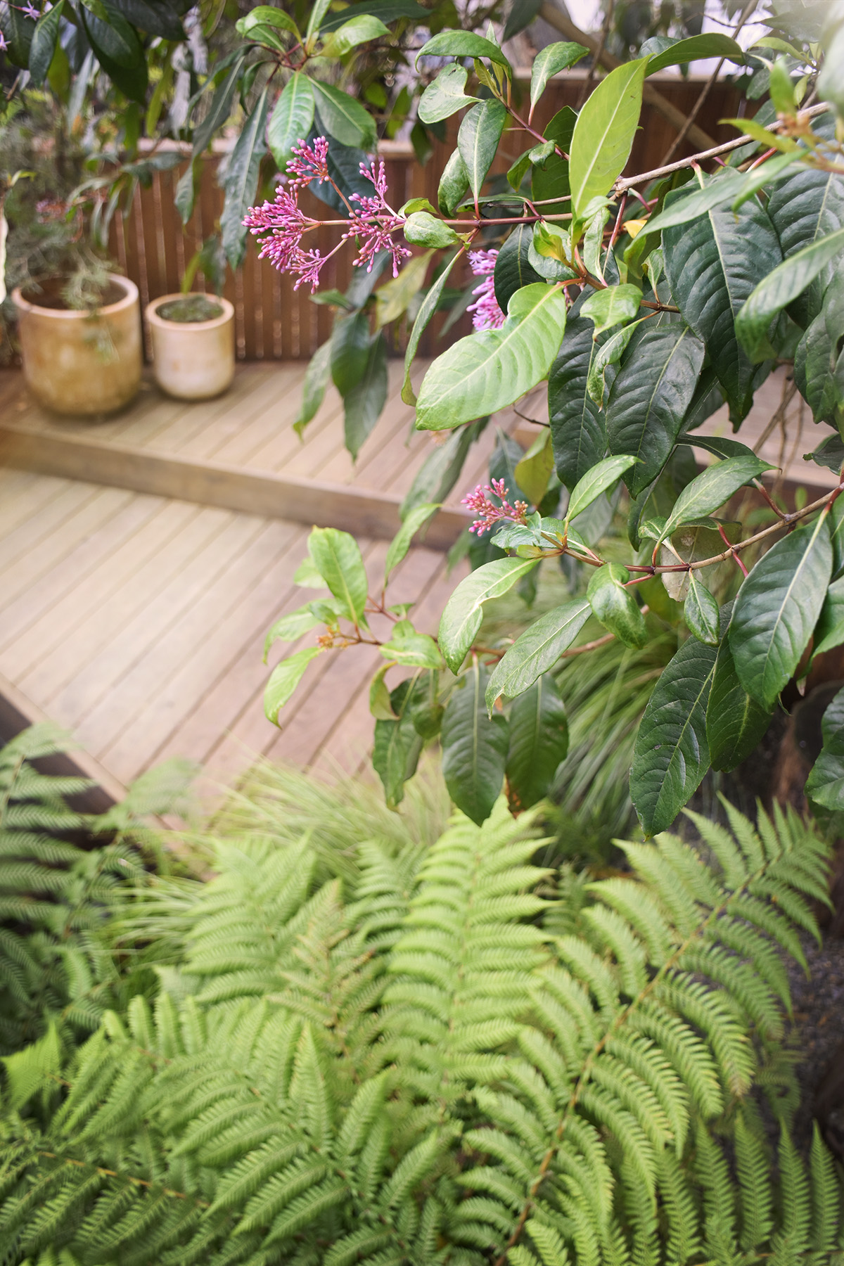 身边风景 | Soft Studio-77