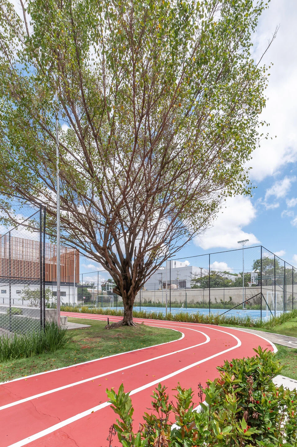 红房子学校 维拉-罗伯斯丨巴西圣保罗丨STUDIO DLUX-60