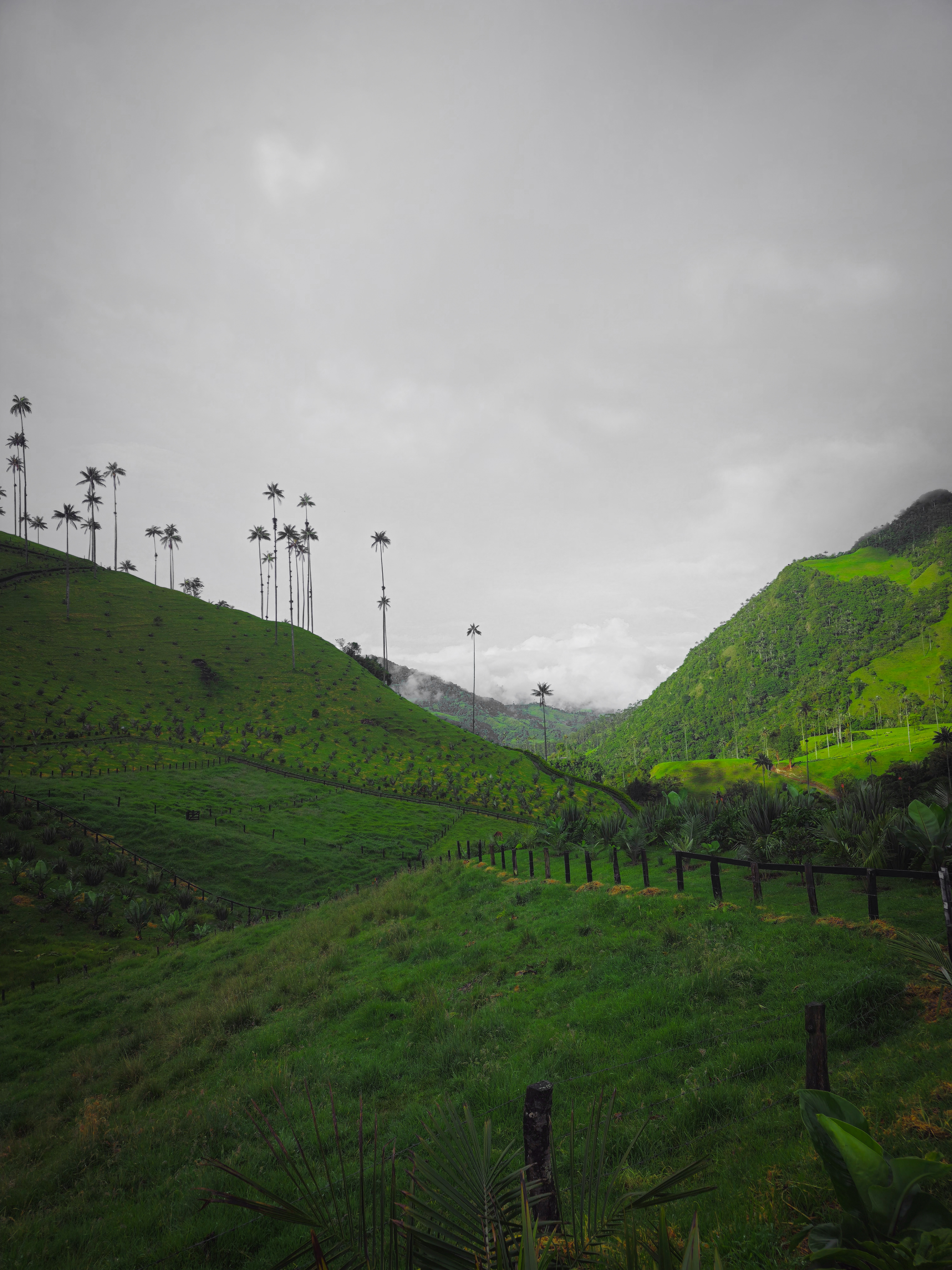 Colombia-7