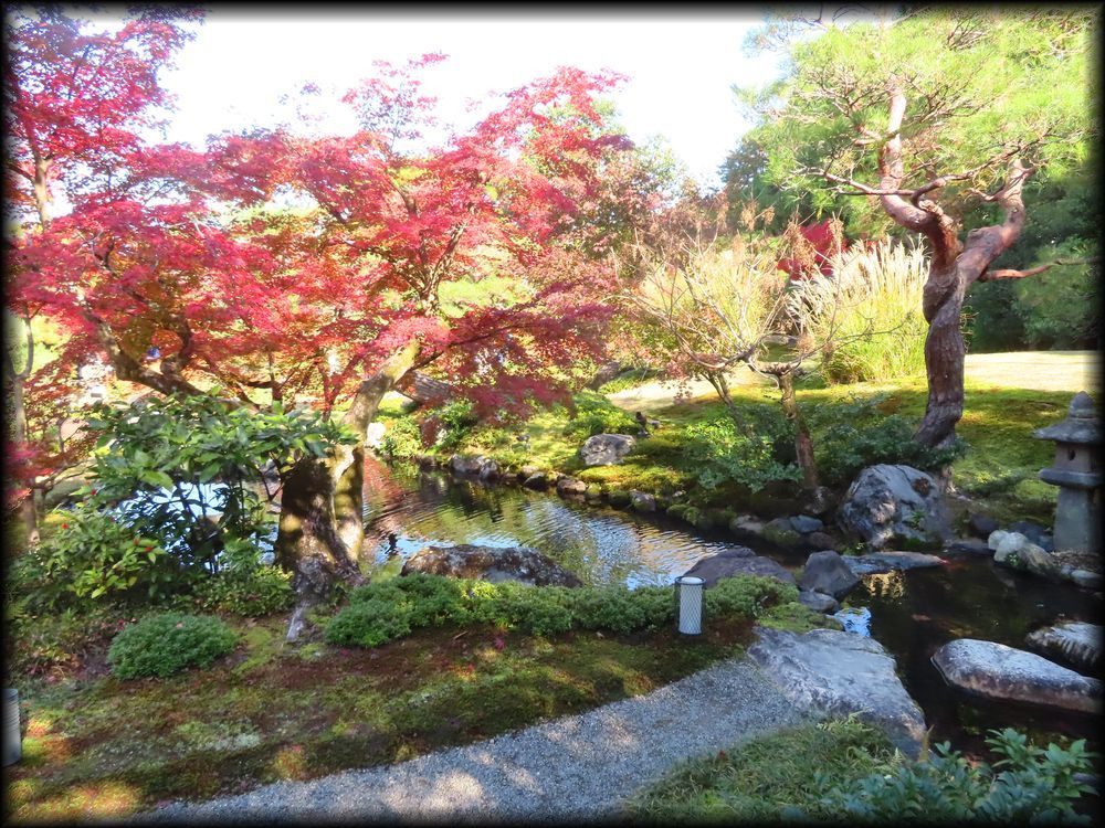 对龙山庄庭园丨日本京都丨七代目小川治兵衛-46