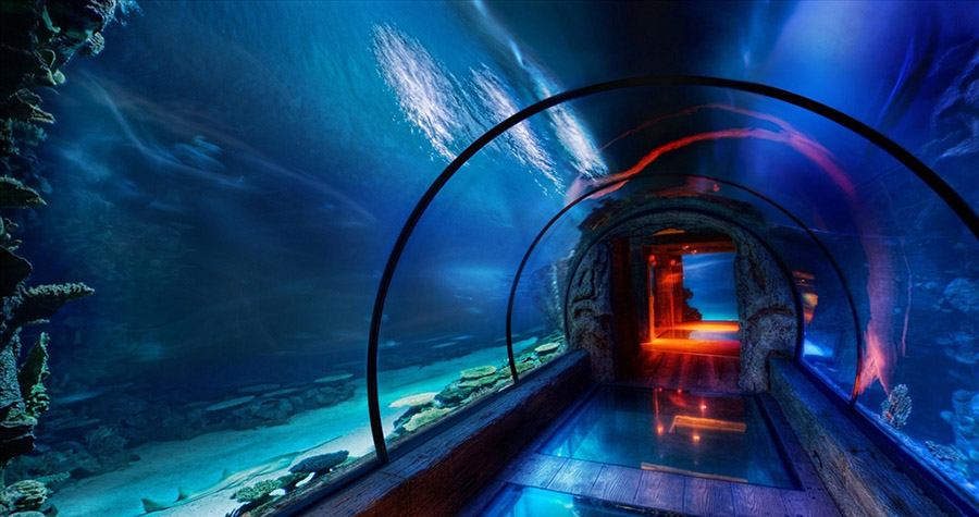 水族馆.海洋馆设计案例效果图                     -9