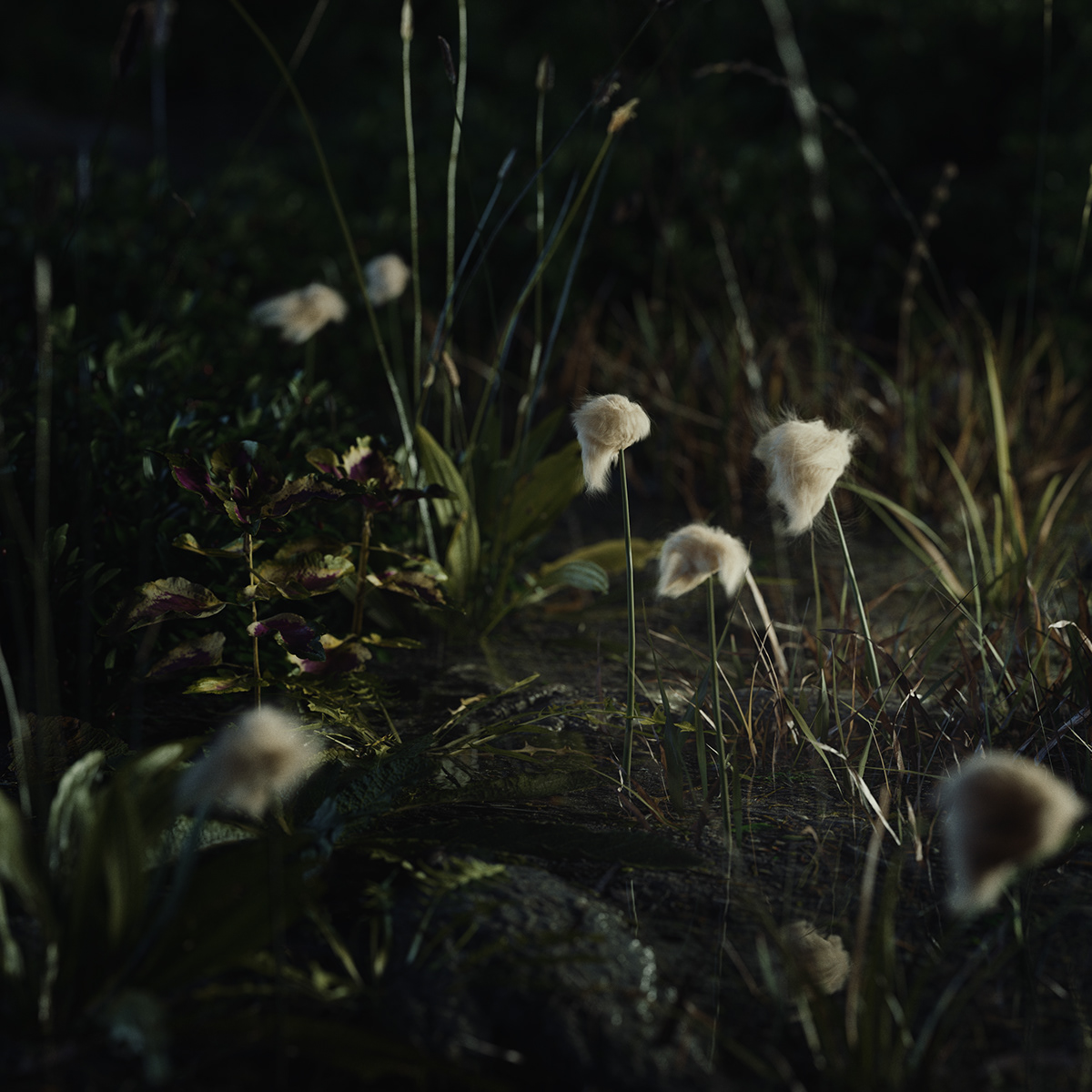 Northern Wisps 预制小屋设计丨Bartosz Domiczek-13