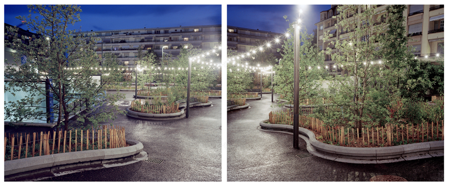 7000 Oaks 与城市生态共生的艺术设计-41