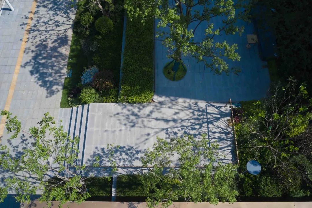 长虹城·云麓展示区丨中国绵阳丨CELEC成都绿茵景园-45