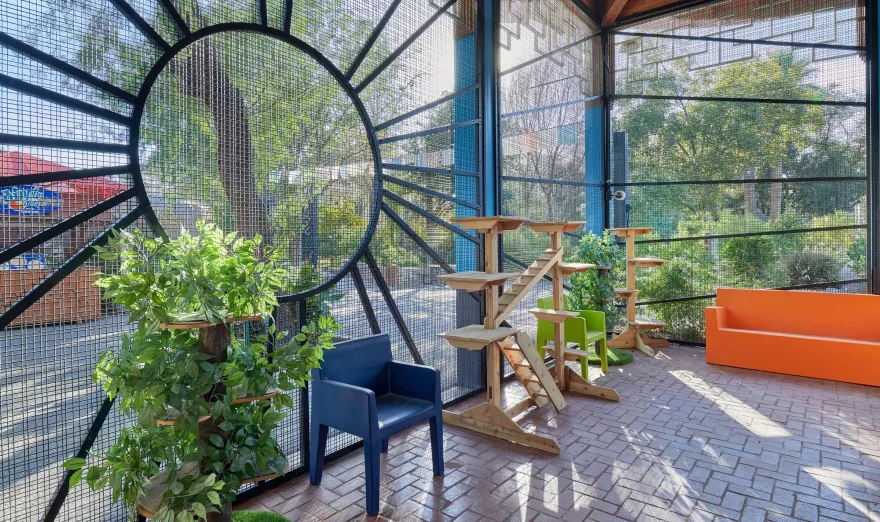 埃尔帕索动物园猫咪领养中心丨美国埃尔帕索丨MNK Architects-16