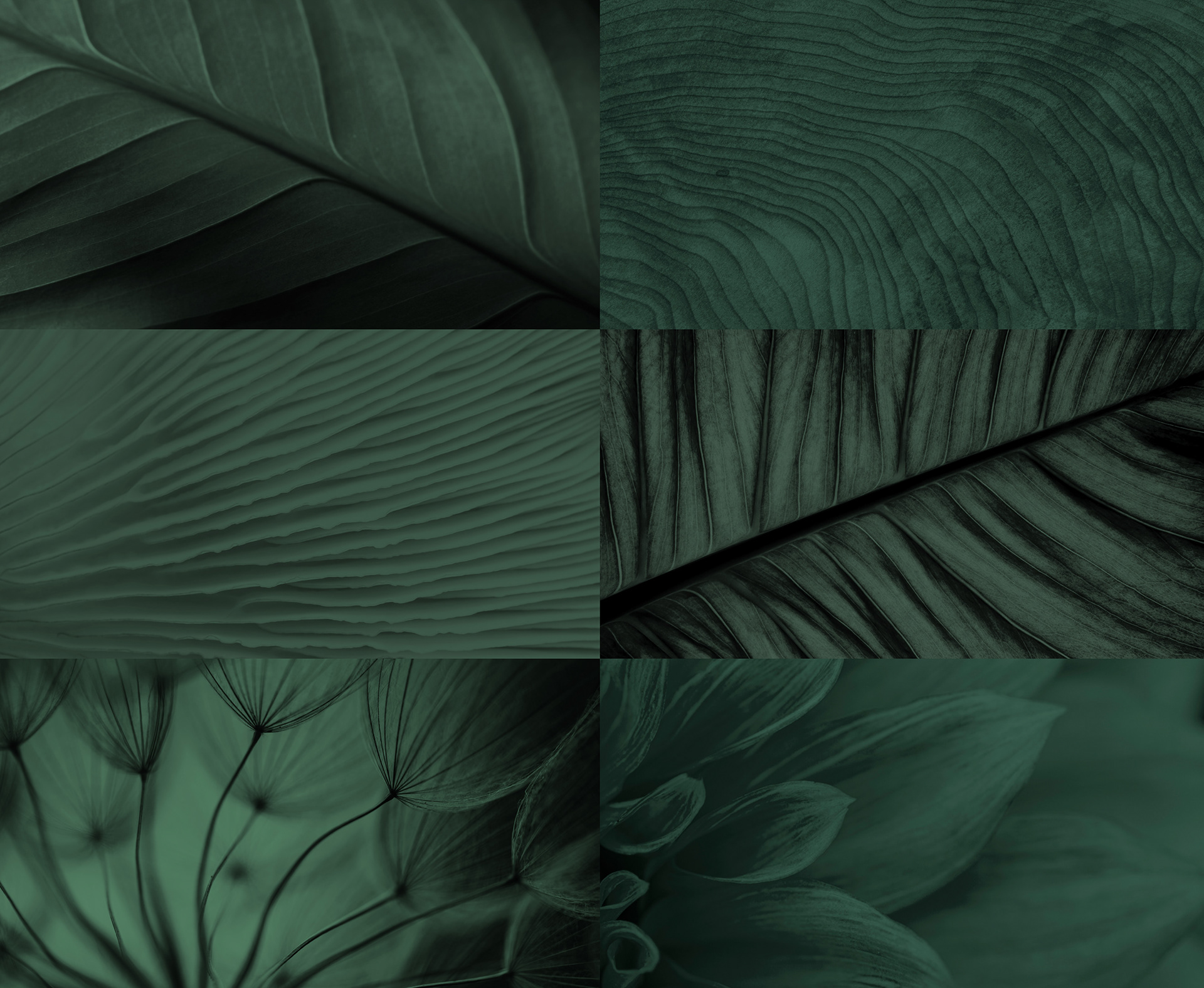 房屋入口丨Russia丨Alena Kokueva,Silviya Al Ubed-16