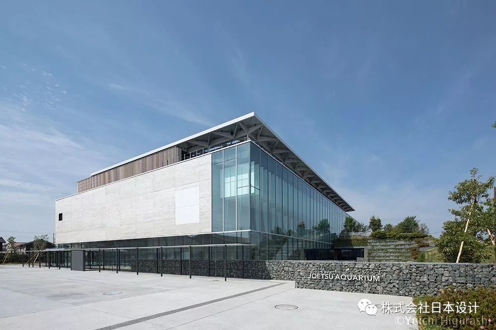 上越市立水族博物馆 | 沉浸式体验日本海的壮美海景-13