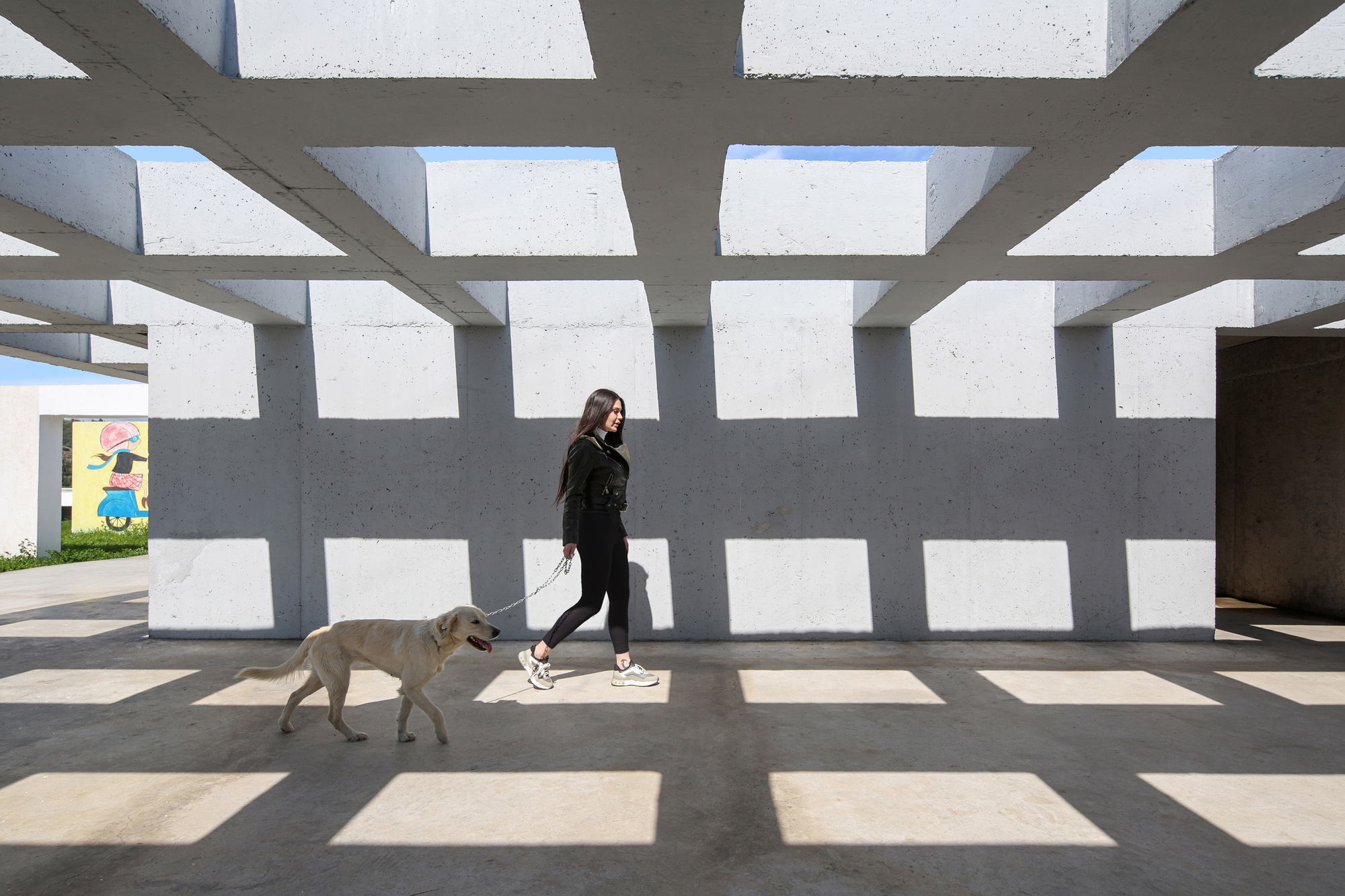 Pako Street Animal Social Life Campus  / Mert Uslu Architecture-34