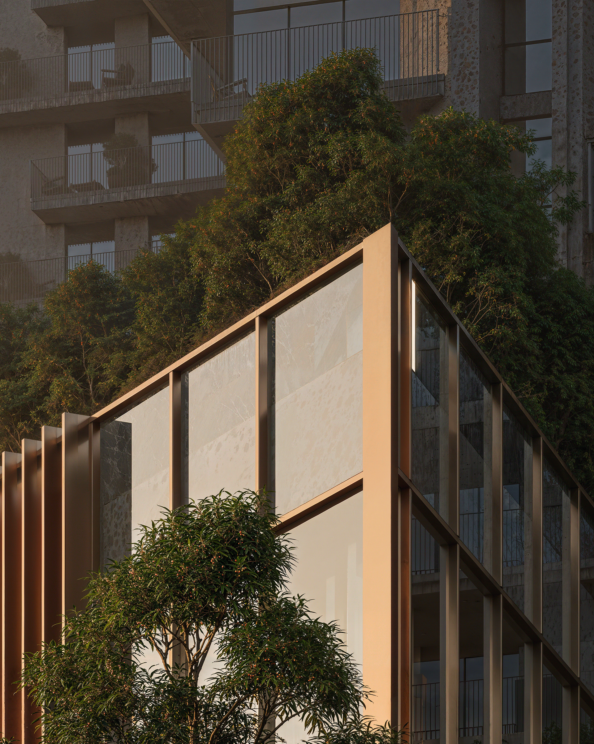 The Silence of Space 住宅景观-23