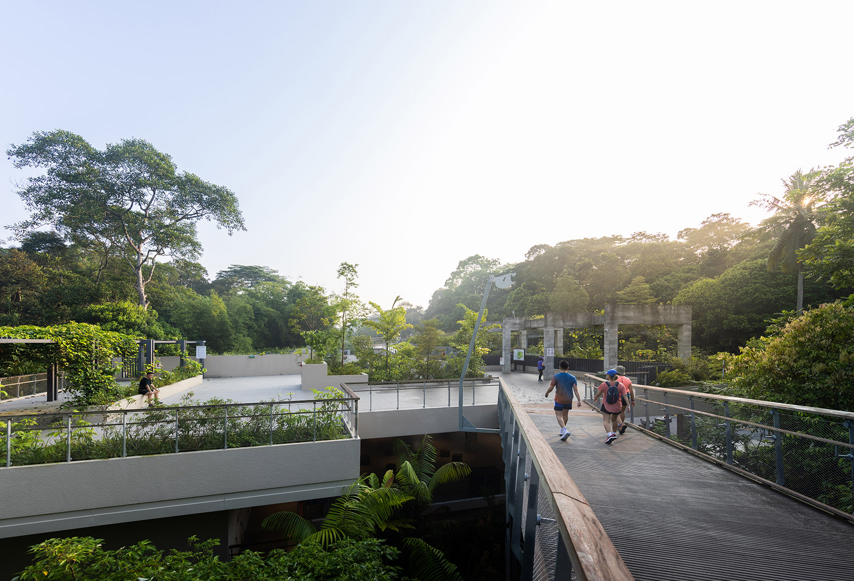 射靶场自然公园丨新加坡丨Henning Larsen-26