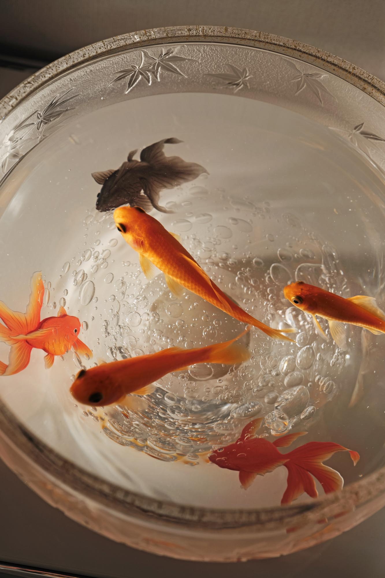 言笑晏晏丨DoLong 董龍设计-59