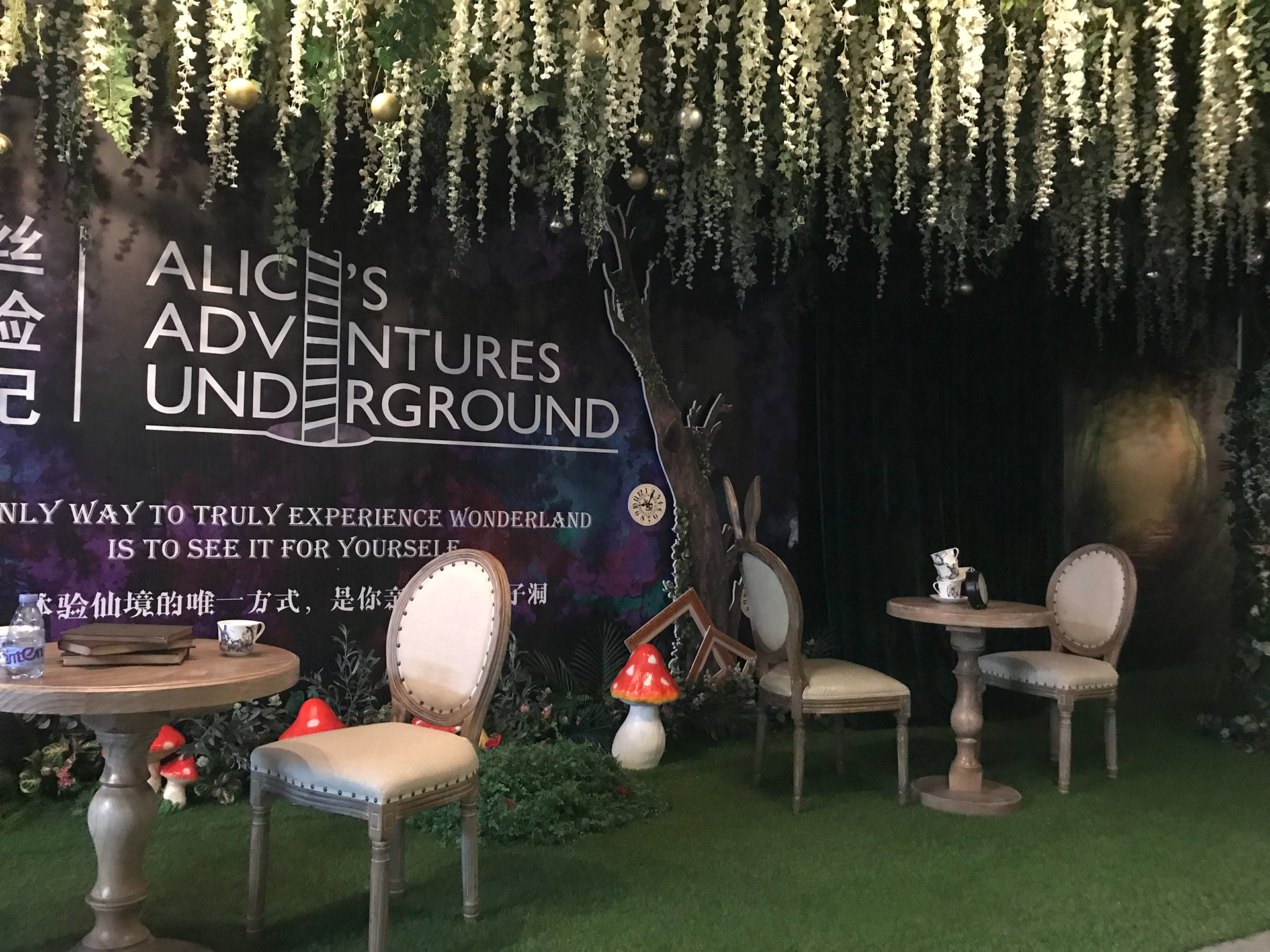 ALICE'S ADVENTURES UNDERGROUNG 2019-18