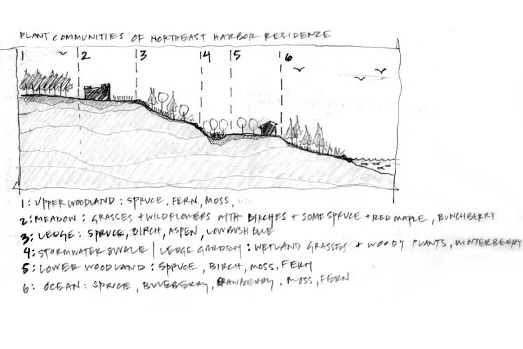阿卡迪亚庄园-8