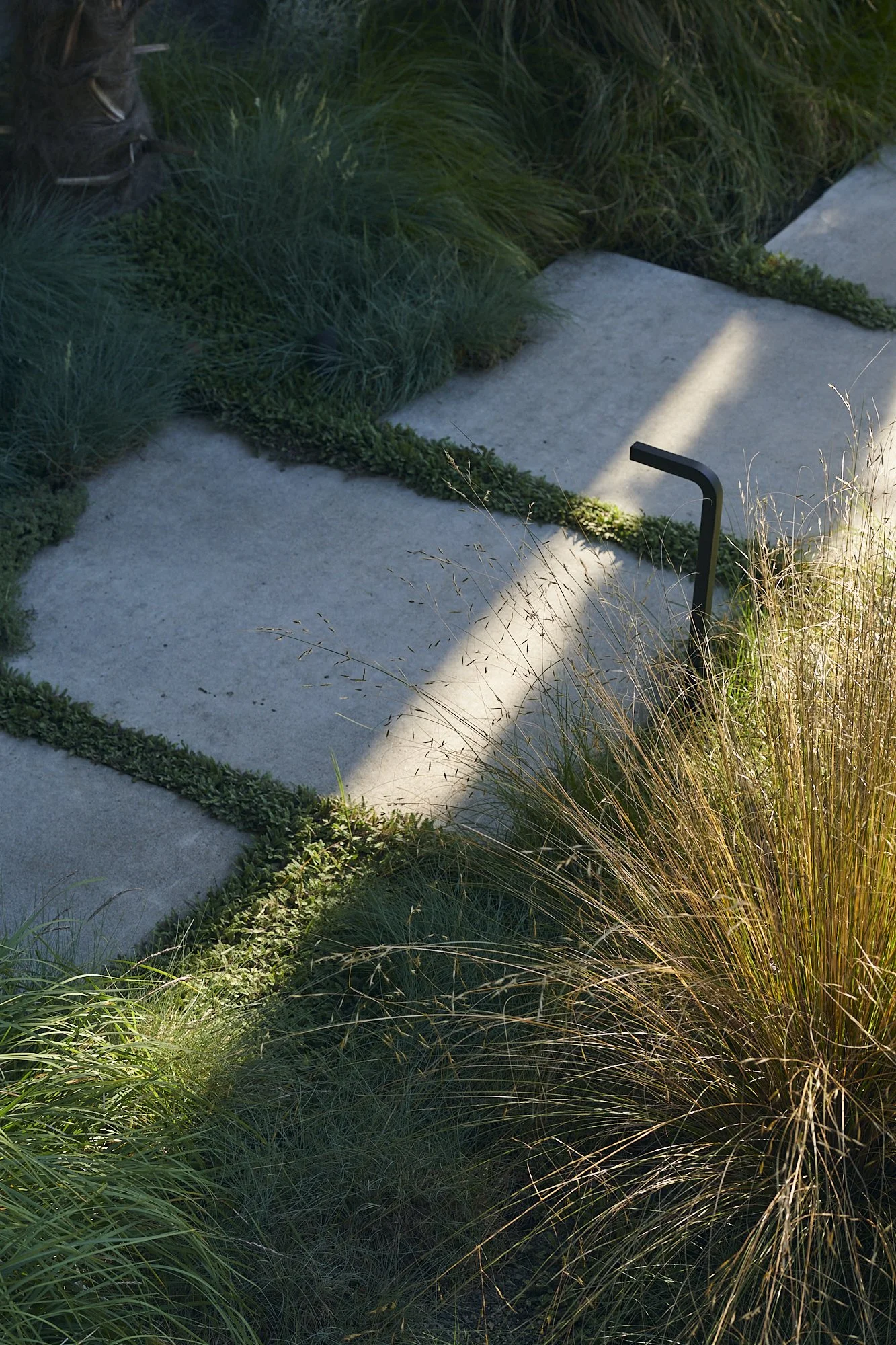 大型测试·大型狩猎之旅丨美国-18