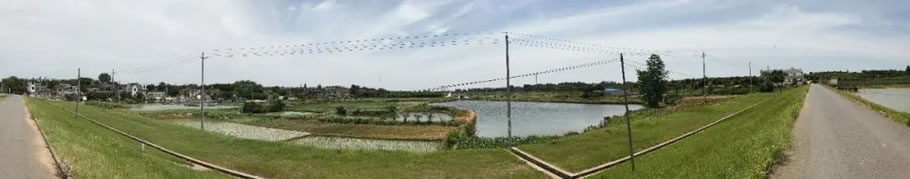 卧龙特色田园乡村规划丨中国镇江丨江苏省建筑设计研究院股份有限公司-29