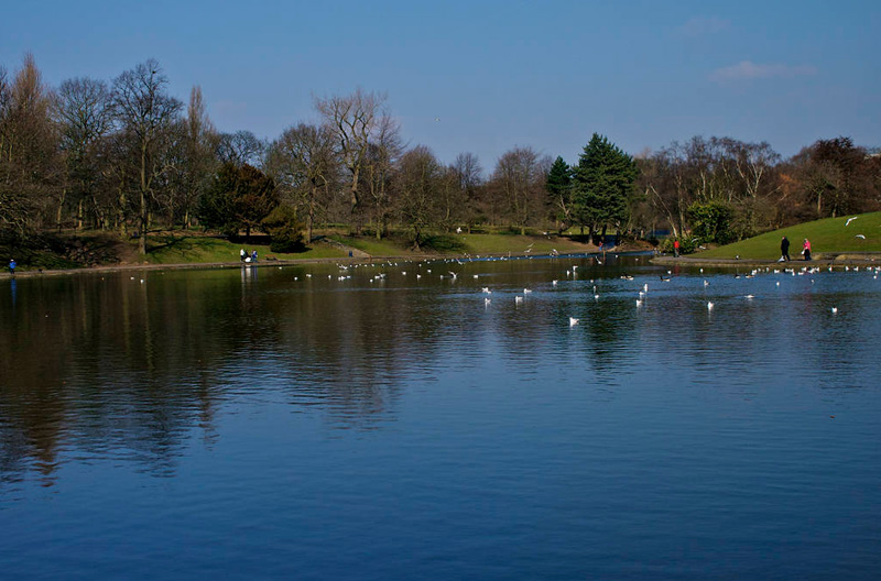 利物浦塞夫顿公园丨英国利物浦丨建筑师E. 安德烈-10