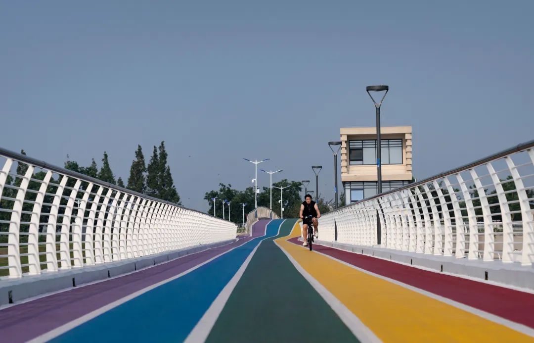 从繁华渔港到生态胜地，重构太湖周边生态面貌 | 太湖流域小溪港鱼咀公园-47