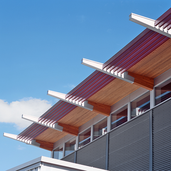 斯克莱普卓越学校（注：Sk’elep可能是特定名称，按音译处理；E·cellence可能是Excellence的特殊写法，这里按卓越翻译） 丨Iredale Architecture-5