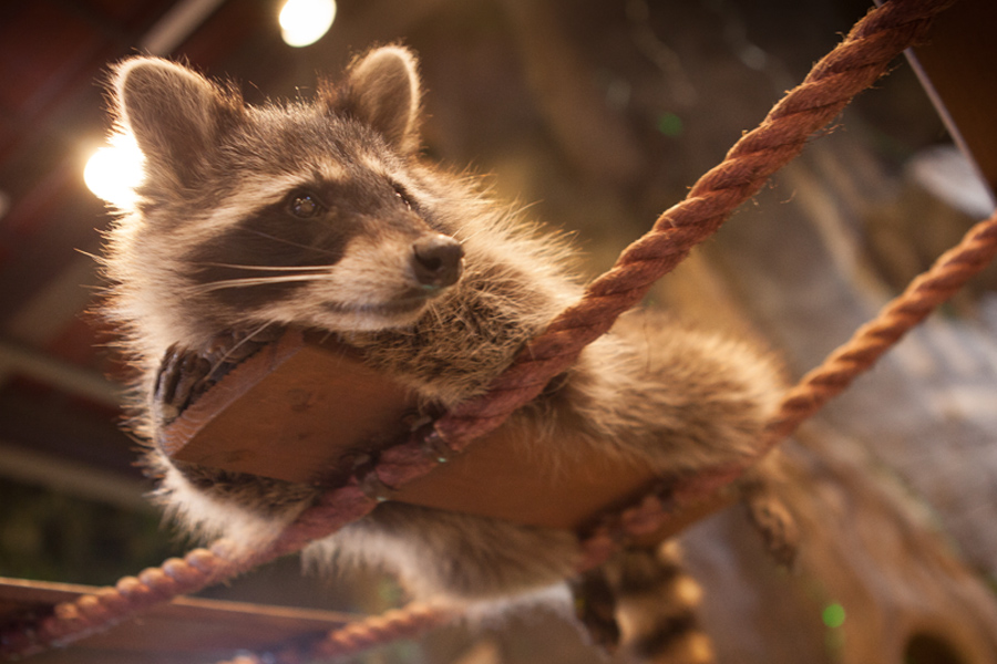 주렁주렁 하남점 인테리어 - 인테리어 디자인 회사 디자인다나함-34