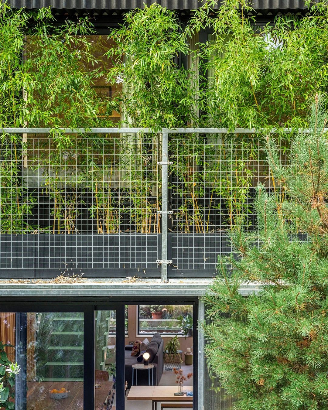 伦敦低碳家庭“温室”住宅丨英国伦敦丨工作室总监 Jonathan Nicholls-23