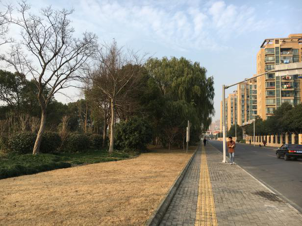 上海松江方松体育公园-85