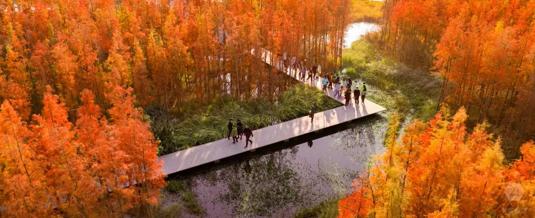 南昌市鱼尾洲湿地公园丨中国南昌丨北京土人城市规划设计股份有限公司-20