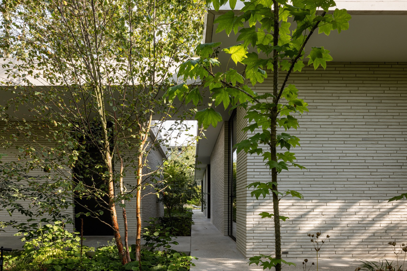 隐逸别墅丨荷兰丨i29 architects-85