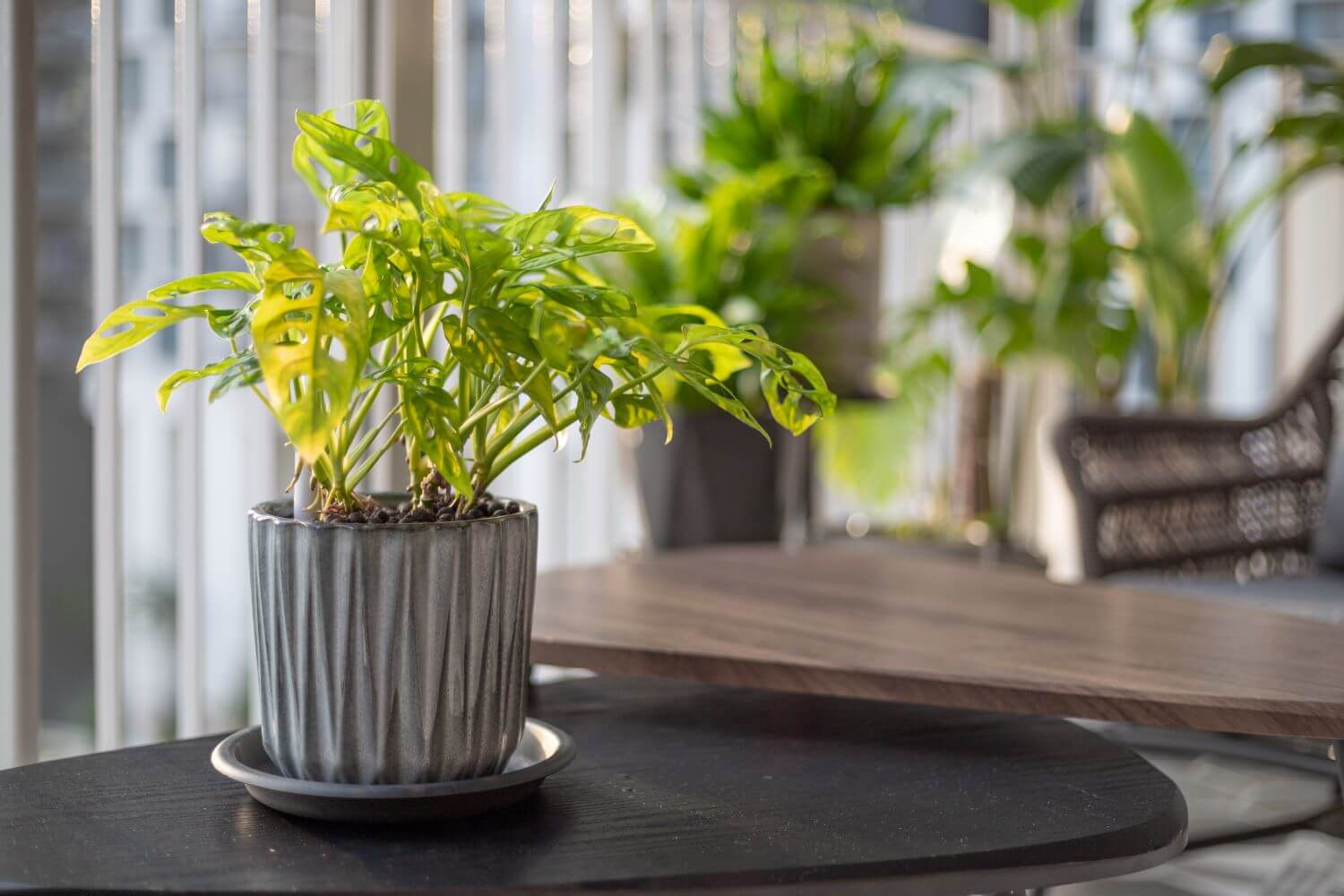 栗树大街·热带地区丨新加坡丨ADDP Architects-21