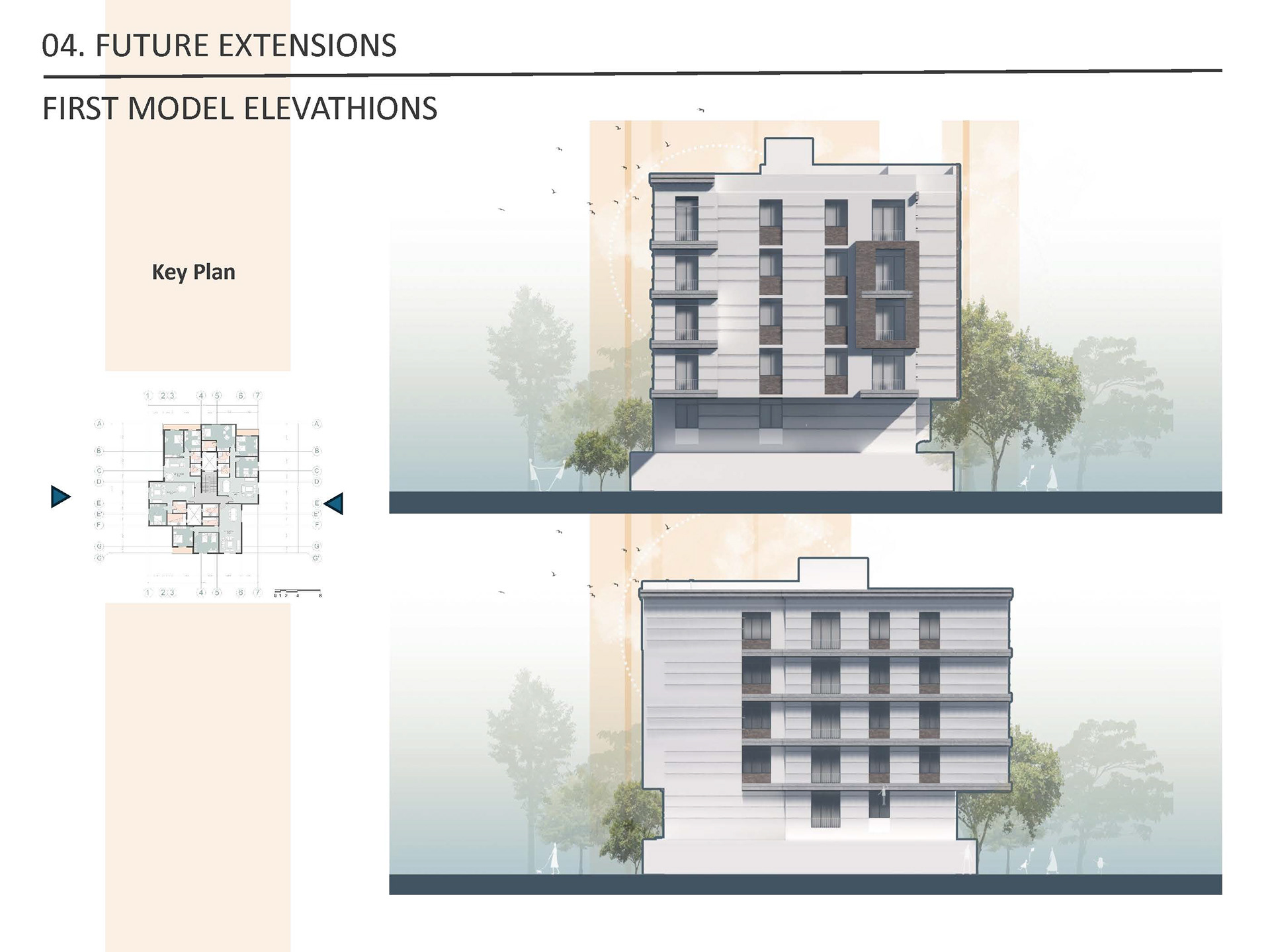 Economic housing in Alexandria region (Housing Project)-61