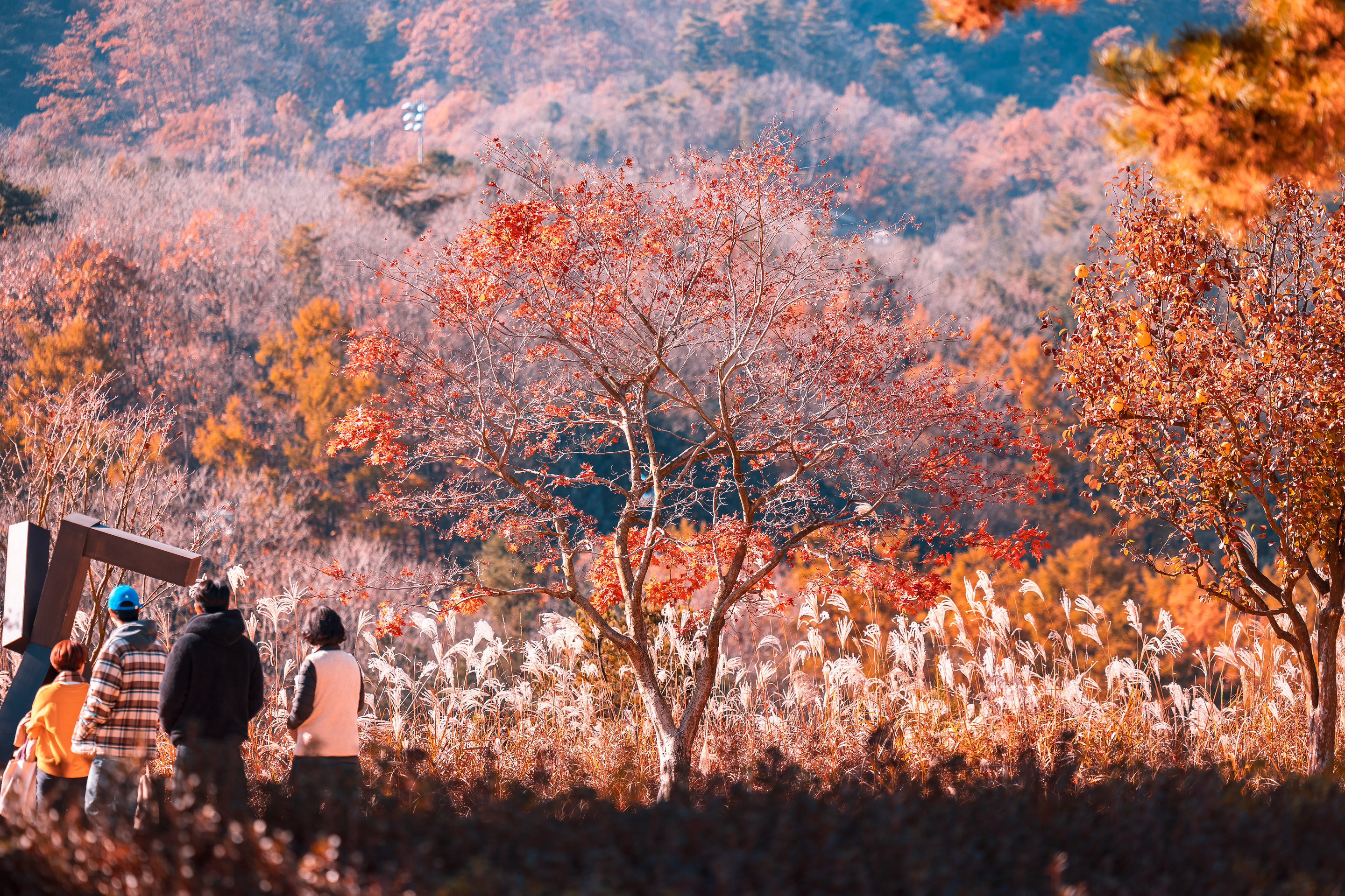 博物馆 SAN丨韩国原州市丨安藤忠雄-11