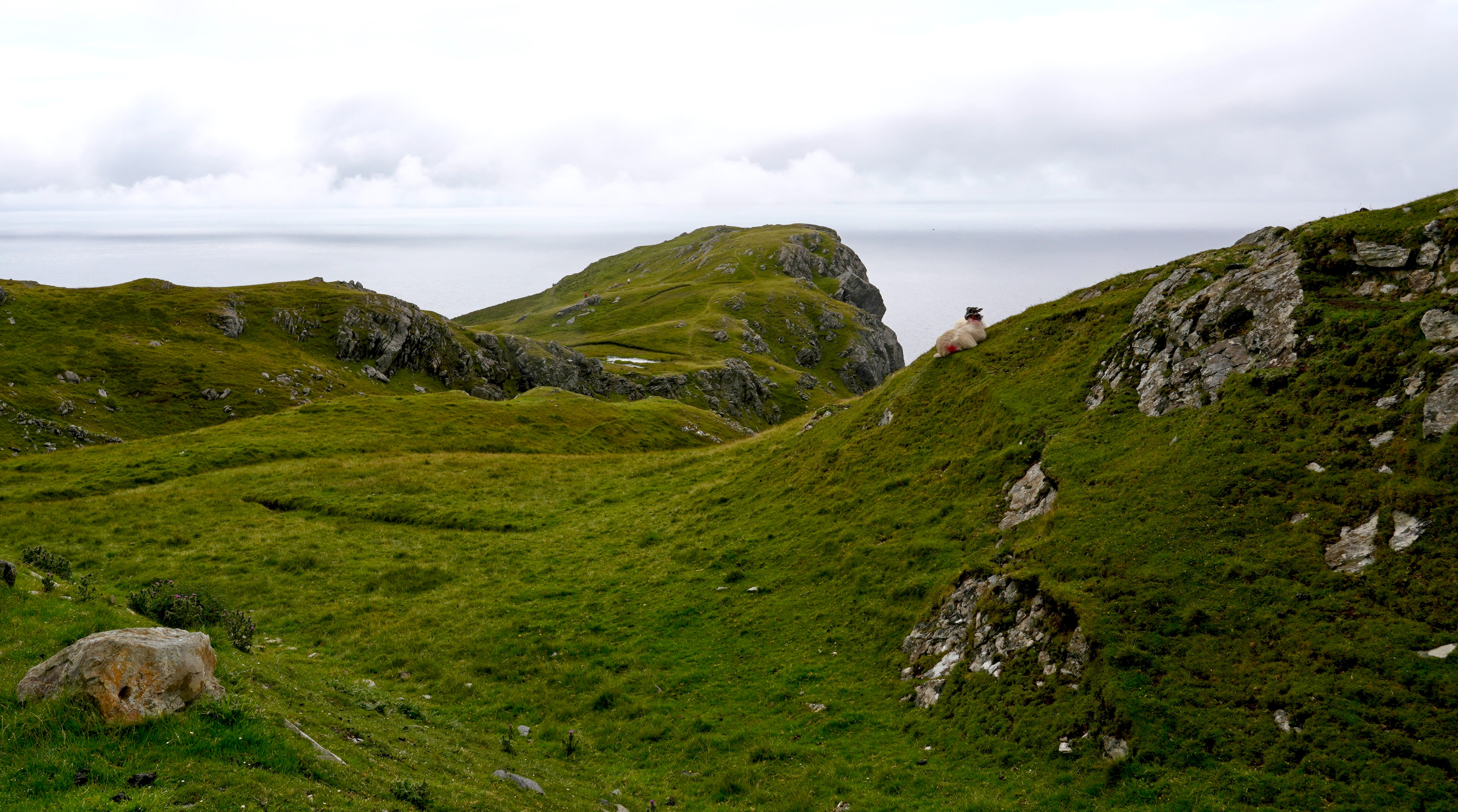 Presentation Perspective-2