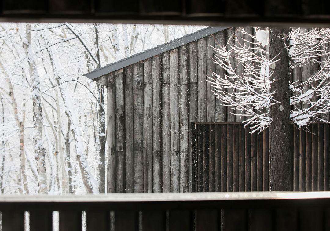 坐忘林酒店丨日本丨中山真琴-11