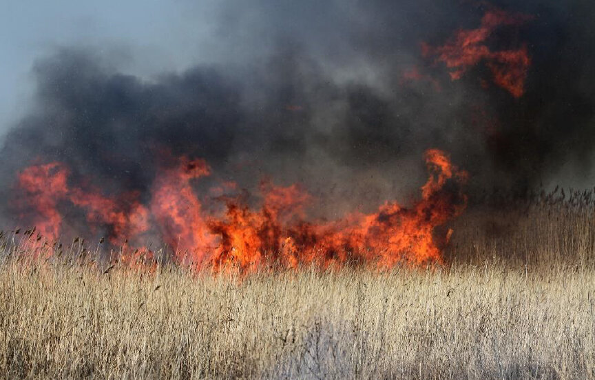 三角洲多瑙河建筑设计规范制定及相关建筑项目-173