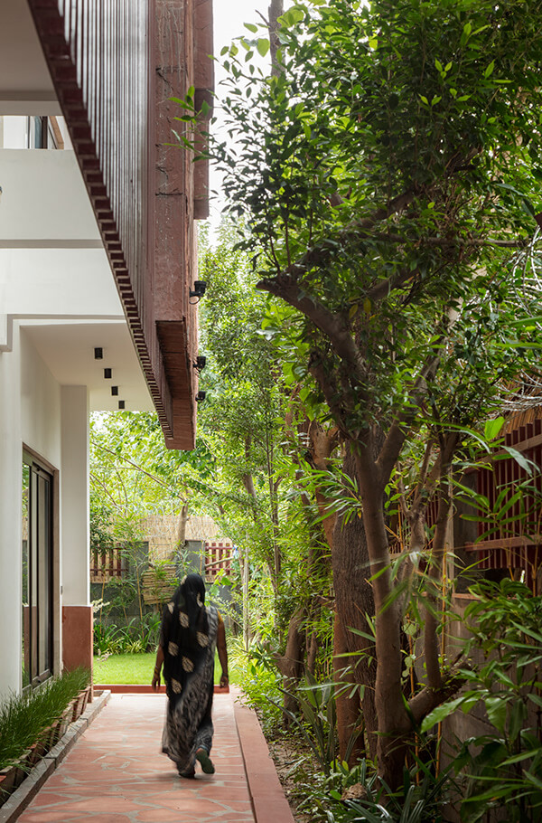 House With 49 Trees RENESA-13