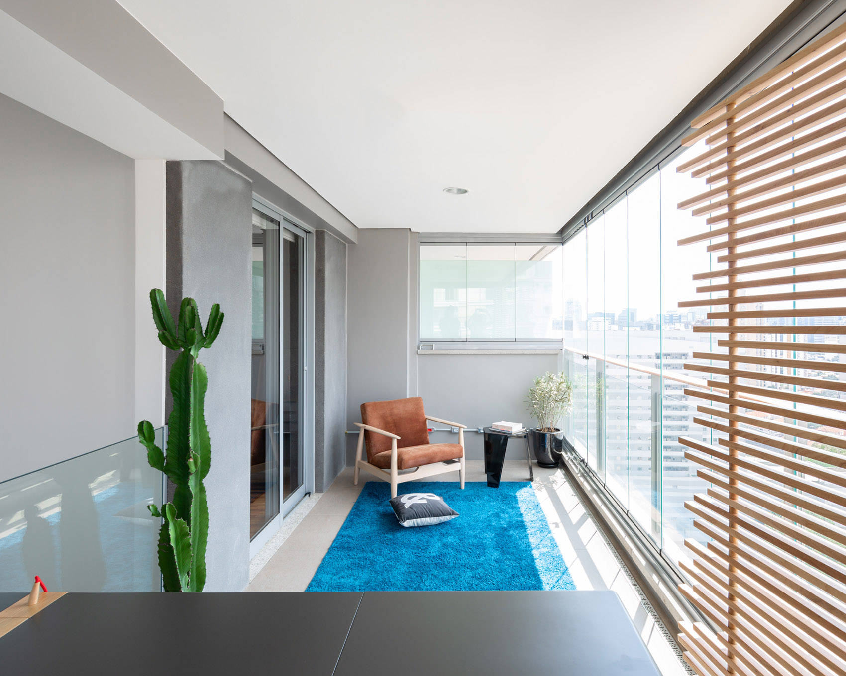 巴西空中公寓丨Casa14 Arquitetura-31