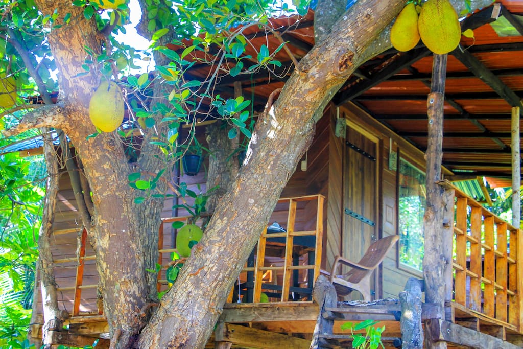 高架木屋Eco  Retreat住宿-13