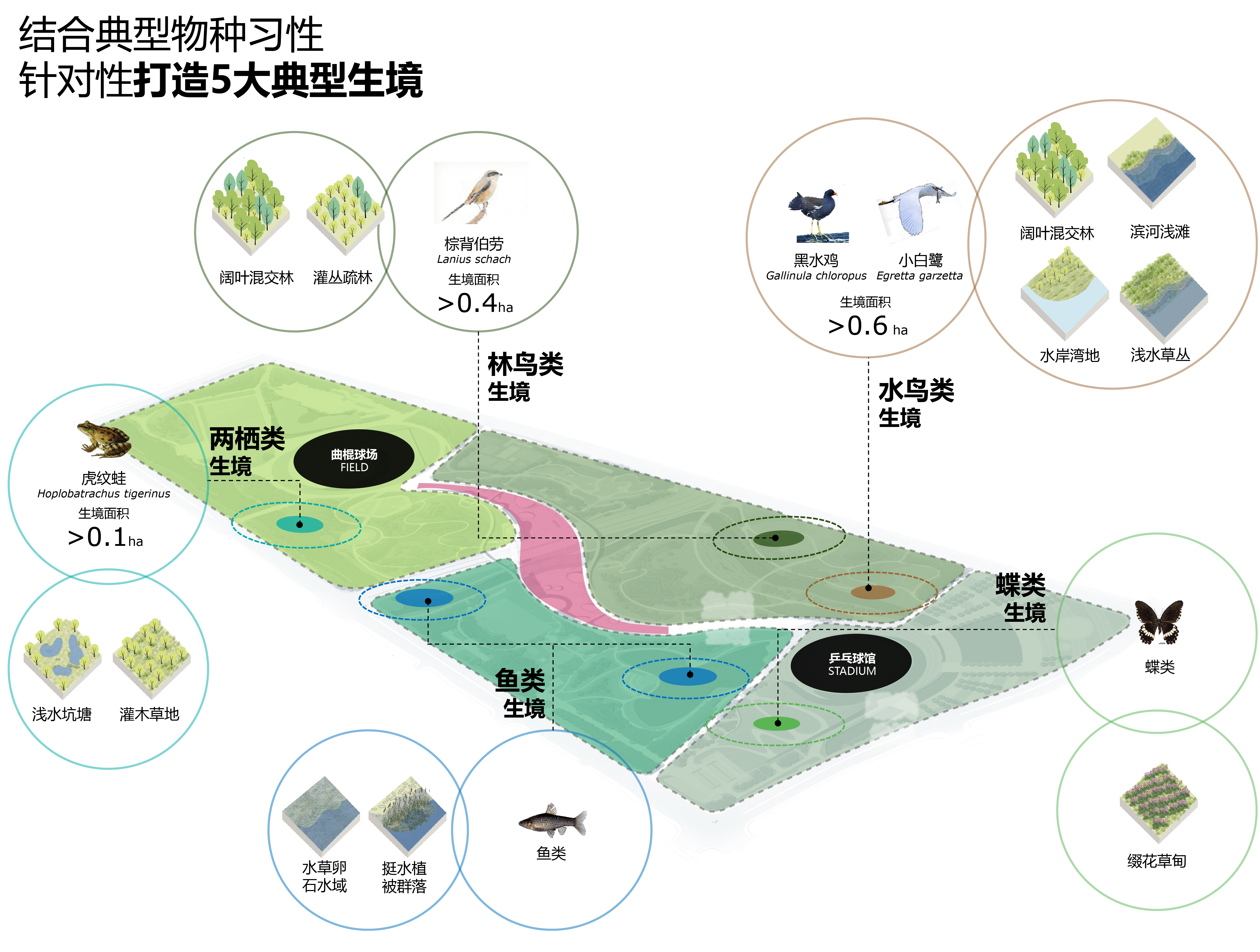 运河亚运公园 (拱墅区运河体育公园)丨中国杭州丨景观概念AECOM,景观深化杭州园林设计院等多家-83