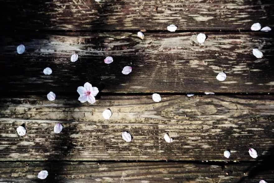 季裕棠新作 | 京都柏悦酒店-56