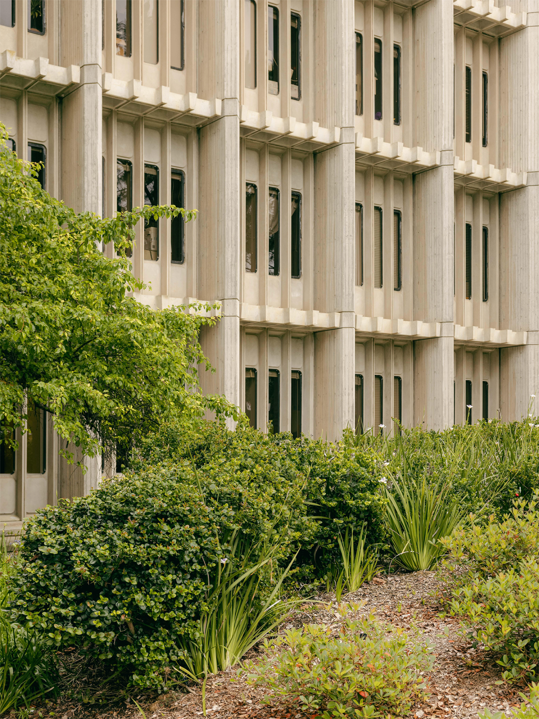 皇家国家剧院丨英国伦敦丨Denys Lasdun-96