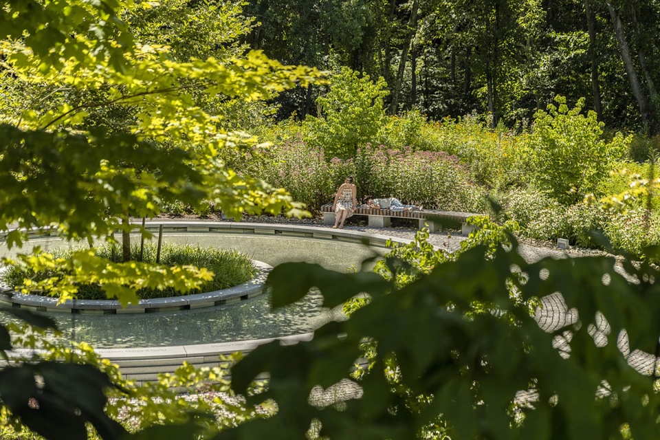 桑迪胡克“林间空地”纪念园丨美国康涅狄格丨SWA Group-24