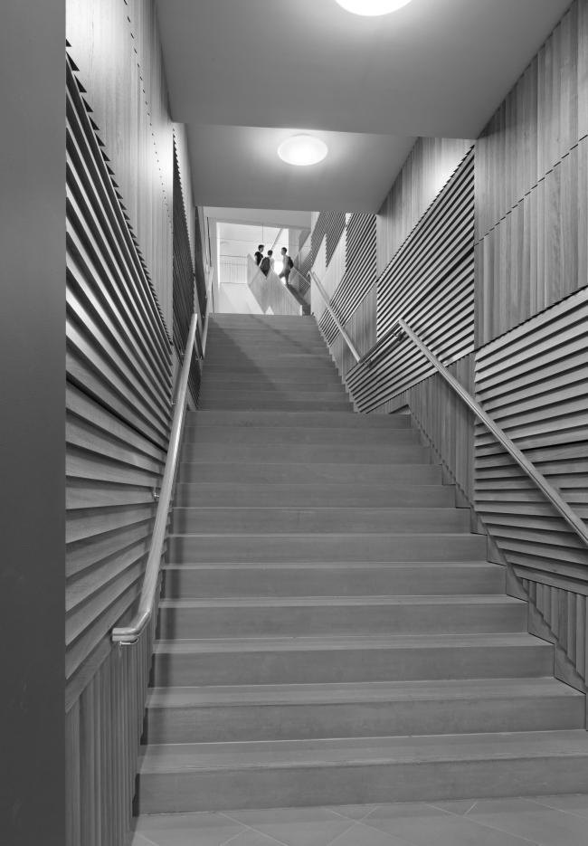 普林斯顿大学神经生物学与心理学综合体丨美国新泽西丨拉斐尔·莫内奥,Davis Brody Bond-40