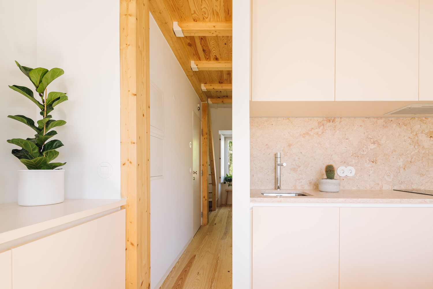 重塑 19 世纪建筑,打造 21 世纪居住空间-22