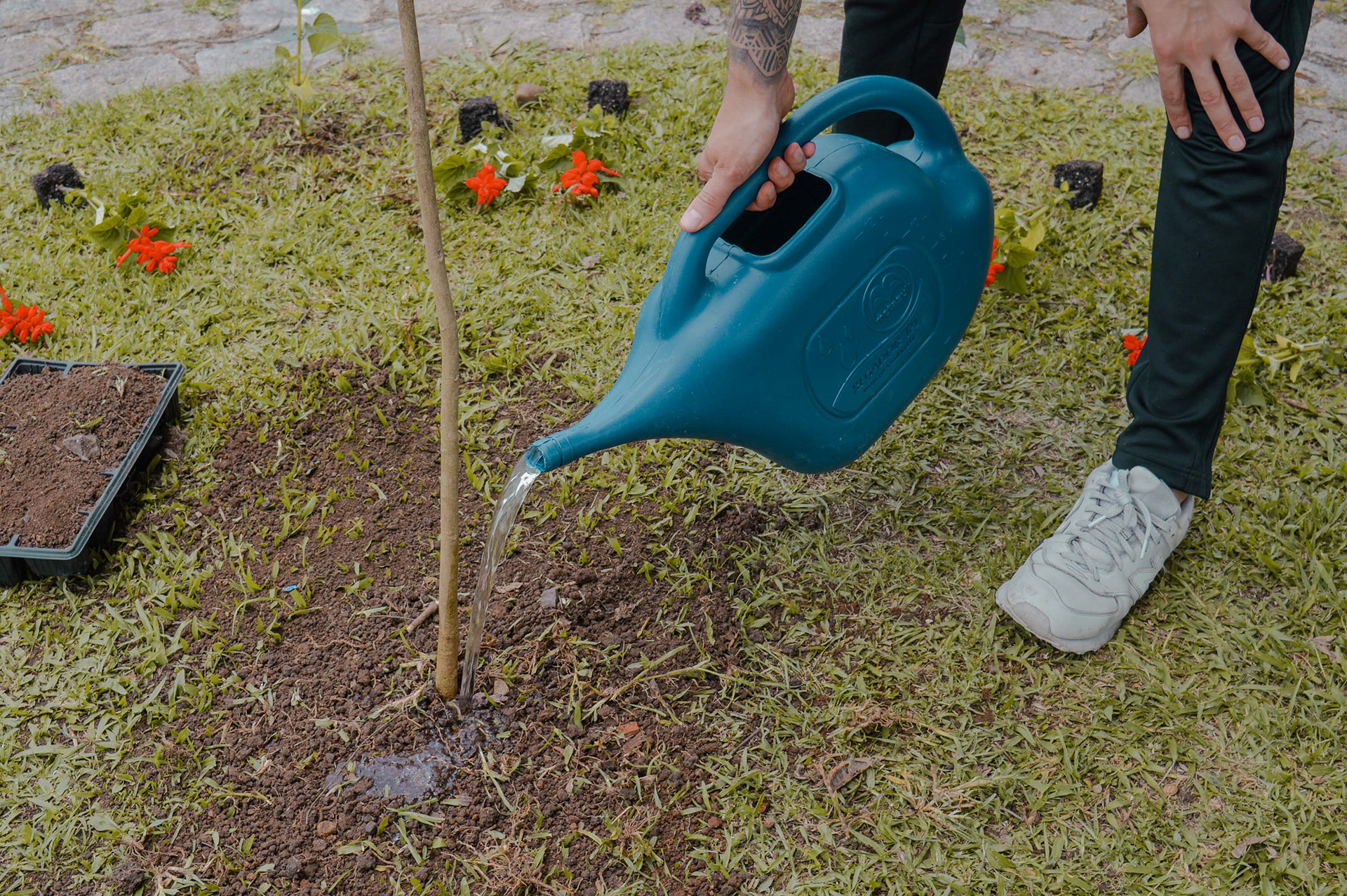 城市创新实验室丨巴西丨Sociedade Global-71