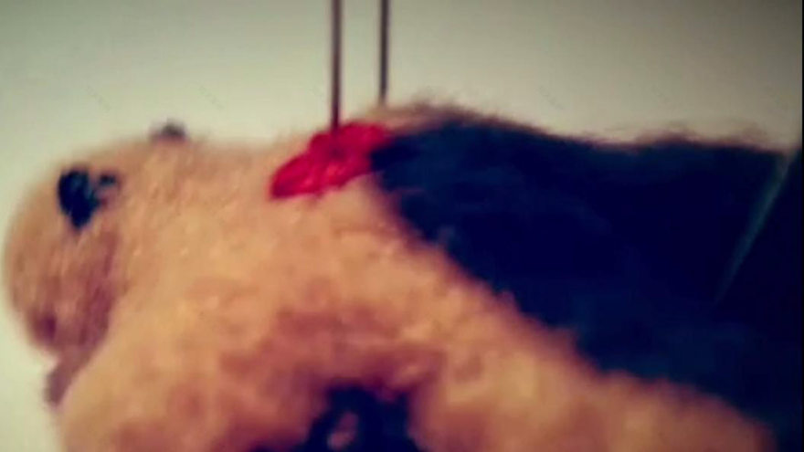 赋能未来创业者-19