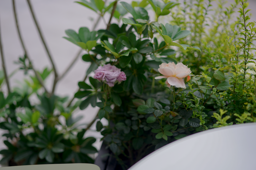 gaga 星寰国际中心店丨中国广州丨永创设计-37