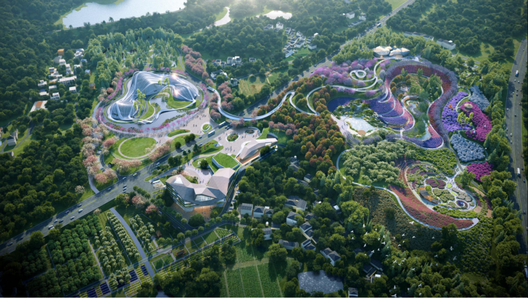 集团要闻丨庐山国家植物园建设项目获业主方高度赞扬-33