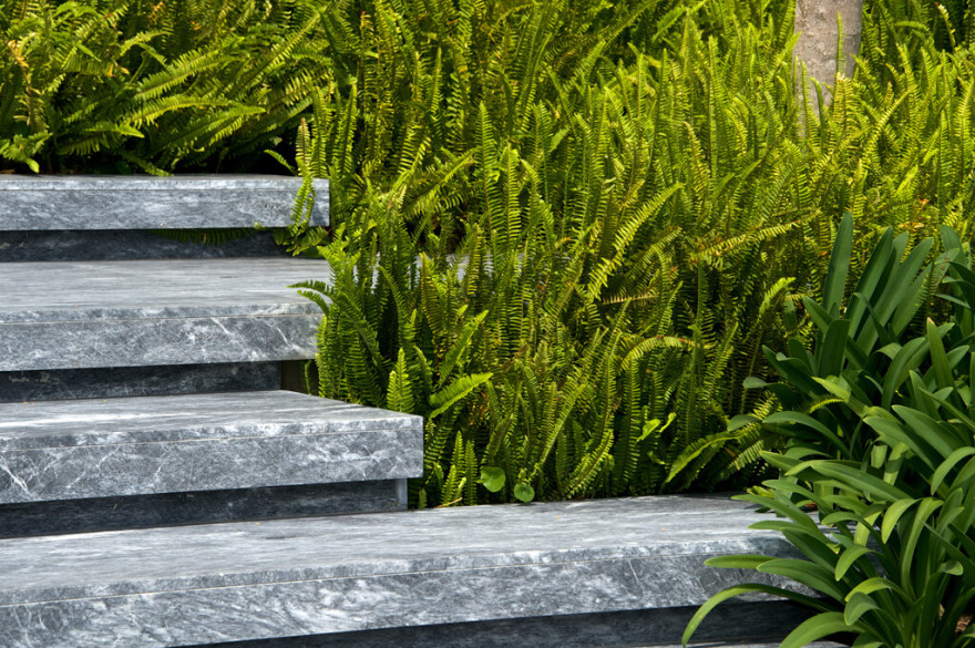 墨西哥“树屋”设计-42