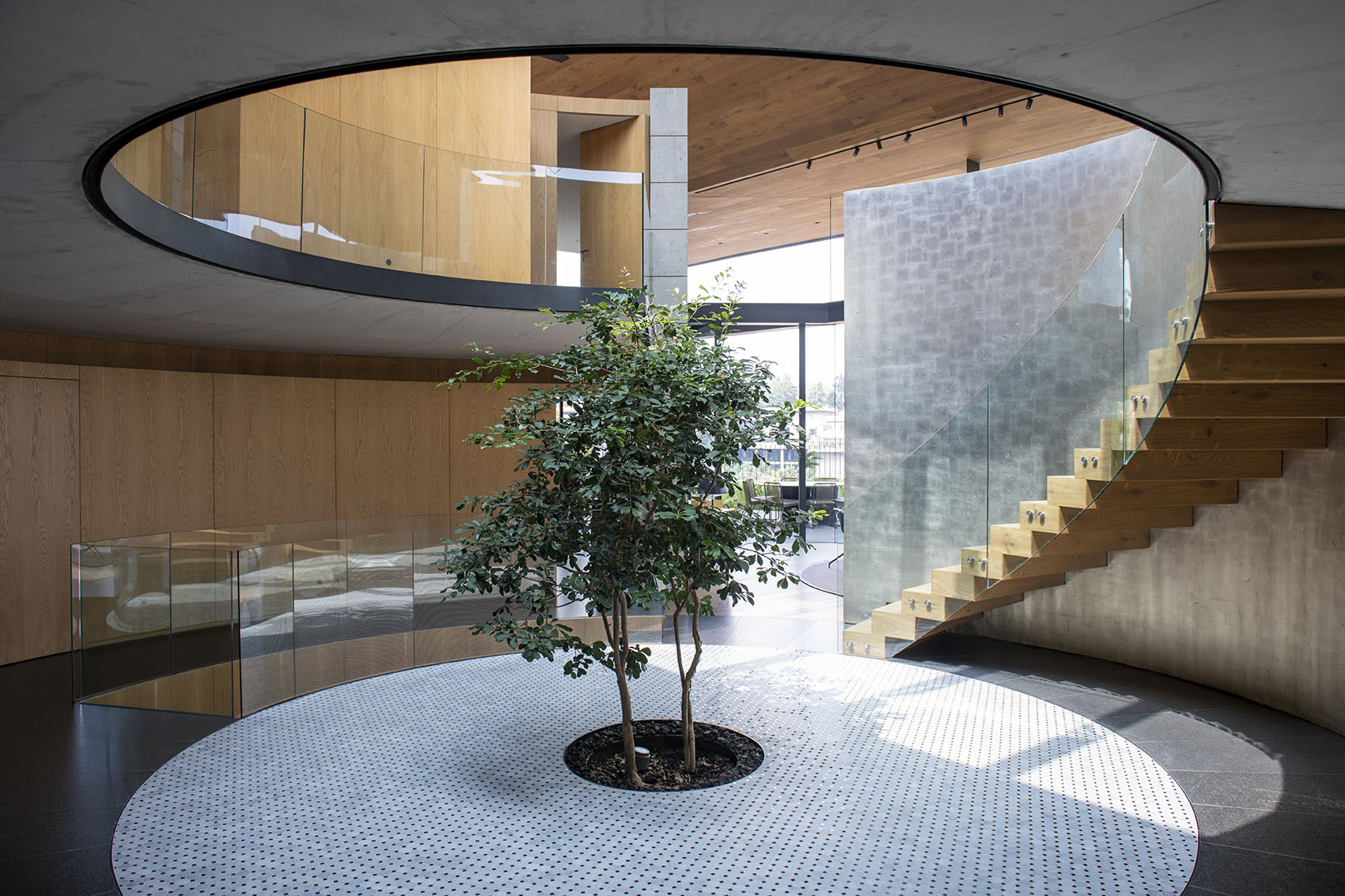 墨西哥 L13 住宅丨LBR&A-40