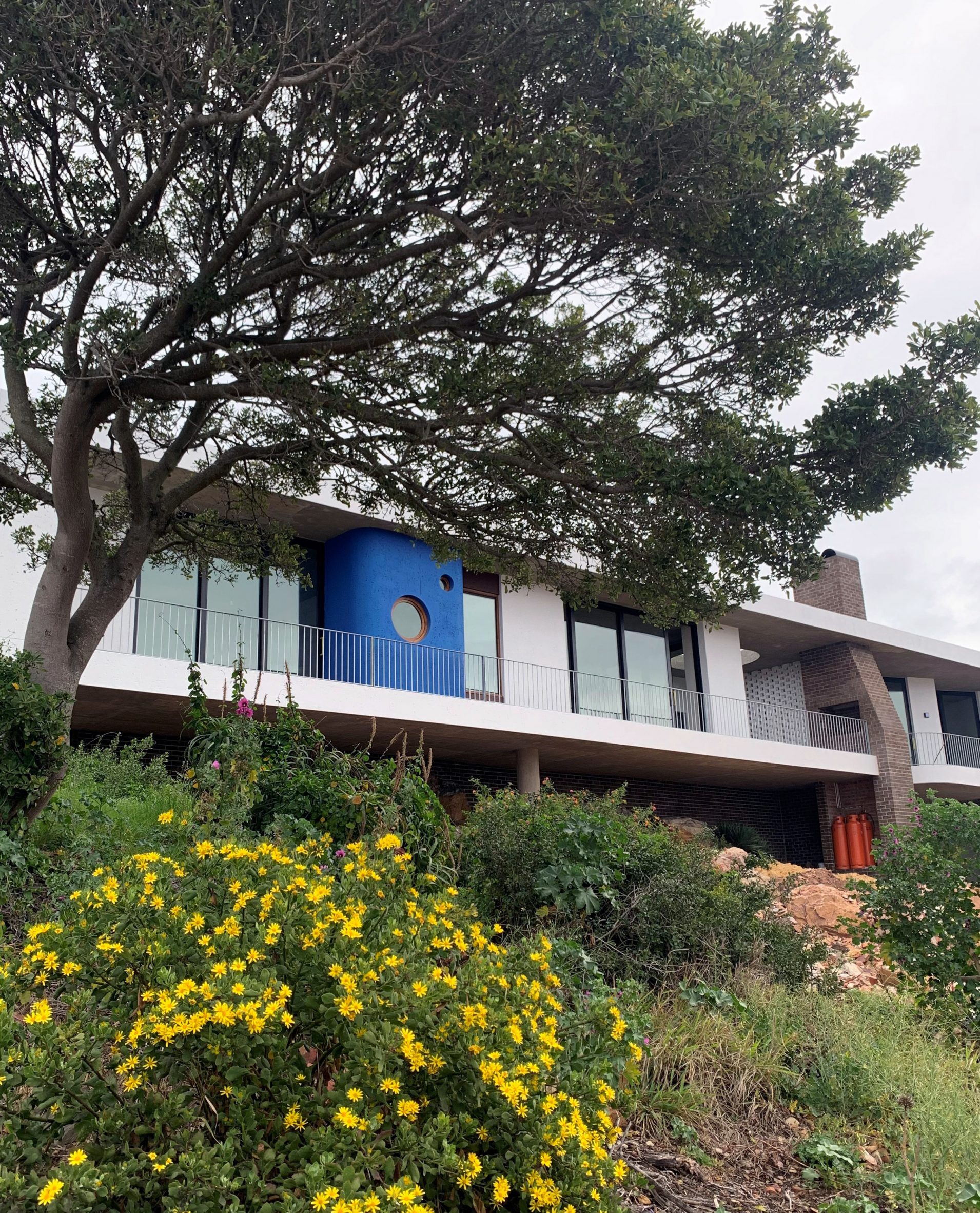 南非海岸线现代主义住宅设计-3