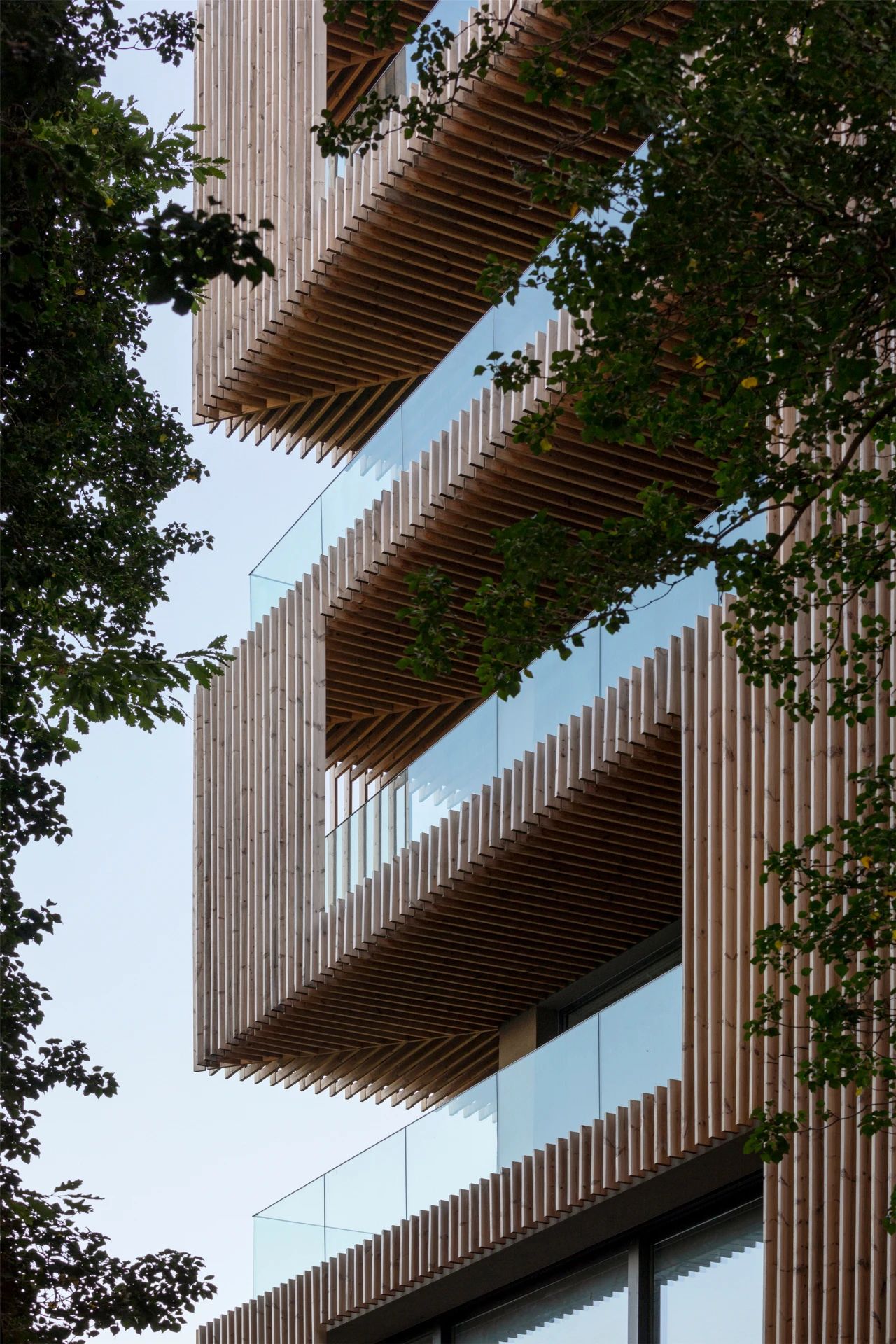 竹中诊所 - 温暖透明丨日本丨TSC Architects-81